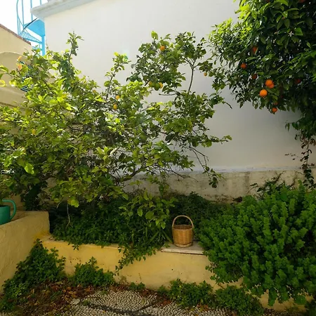 阿奇提克帕塔卡公寓 Rhodes City